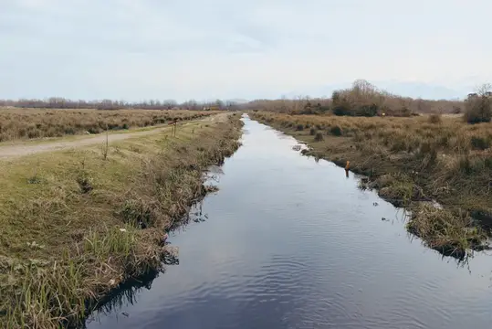 Прямой канал с тёмной водой тянется через осенние заросшие поля под пасмурным небом