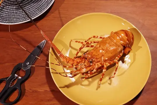 Вареный лангуст на жёлтой тарелке рядом с ножницами