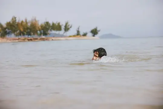 Мужчина плывёт в спокойной воде у берега с деревьями