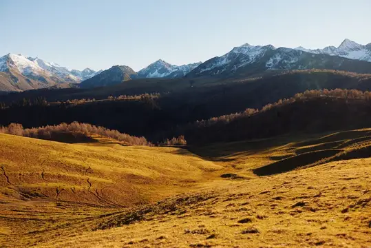Золотистые холмы и заснеженные горы в ясный день