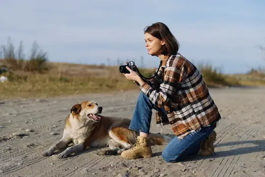 Девушка с фотоаппаратом фотографирует лежащую собаку на песчаном берегу
