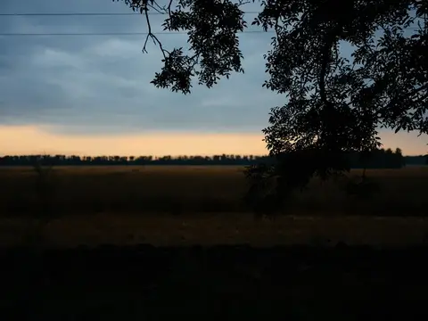 Пейзаж для путешествий на природе: деревья, образ жизни