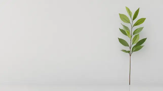 Веточка с зелёными листьями на светлом фоне