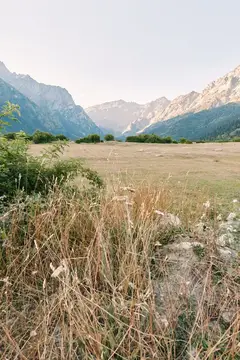 Сухая трава на лугу на фоне горного хребта