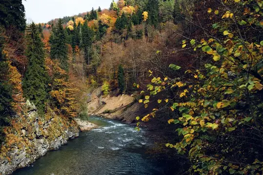 Осенний лес, горы, природа, река, путешествие, пейзаж