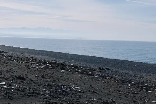 Загрязнённый мусором пустынный берег моря в пасмурный день