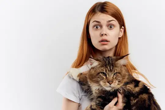 Рыжеволосая женщина держит в руке кота, полосатая футболка, светлый фон, дом, питомец