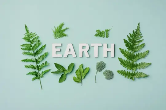 Надпись Earth из объёмных букв в окружении зелёных листьев папоротника и мяты на светло-голубом фоне