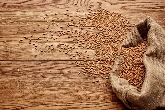 Здоровое питание, органические продукты, продукты питания, бакалея, вид сверху