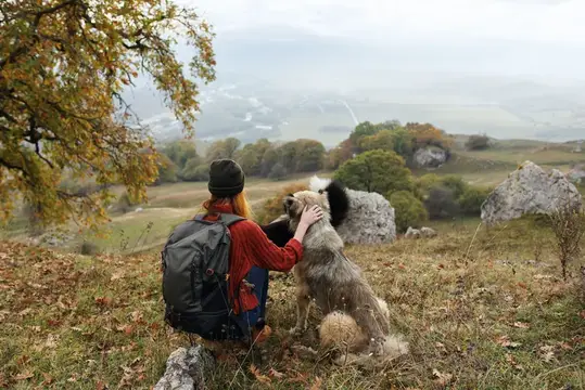 Женщины-туристы с рюкзаками и собаками на отдыхе на природе