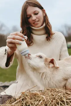 Крупный план момента кормления козлёнка из бутылочки женщиной, подчёркивающий нежную заботу, естественный свет и деревенскую атмосферу, которые передают благополучие и связь в сельской сцене