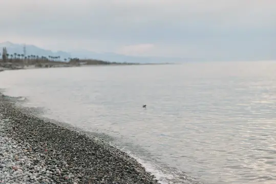 Пустынный галечный пляж и спокойное море в пасмурный день