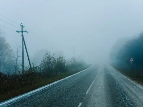 Пустая мокрая дорога уходит в густой туман между деревьями