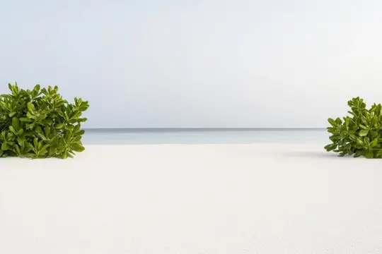 Белый песчаный пляж с зелеными кустами и спокойным морем