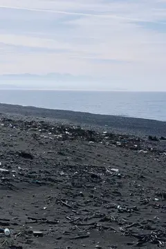 Загрязнённый пластиком и корягами пустынный берег моря