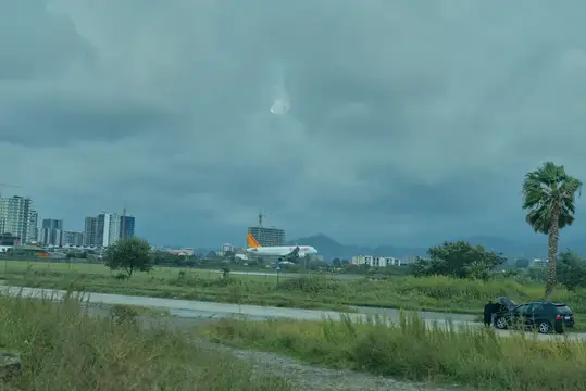 Живописный вид на окраину города с дорогой, автомобилем, удаленными зданиями, пасмурным небом, зелеными полями и пальмой