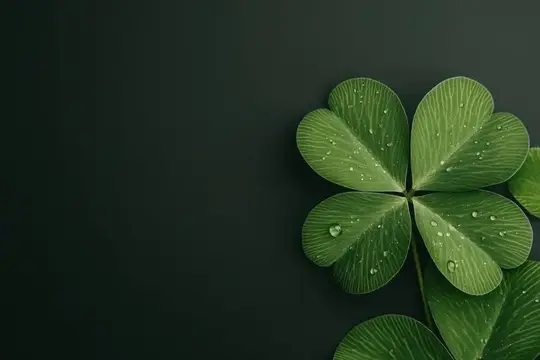 Четырёхлистный клевер с каплями воды на тёмном фоне