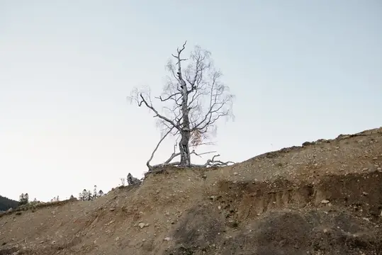 Дерево без листьев, горный пейзаж, небо, путешествие