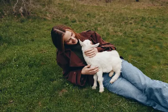 Лежа на лужайке, женщина нежно обнимается с козленком, запечатлевая wholesome сцену общения и простой радости в сельской местности, спокойное, естественное настроение, полное тепла
