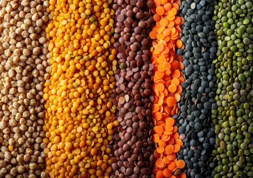 Разноцветные сухие бобовые и чечевица полосами сверху