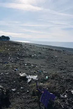 Загрязнённый пластиковыми отходами пустынный берег под пасмурным небом