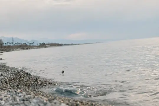 Пустынный галечный берег и спокойное море в пасмурный день