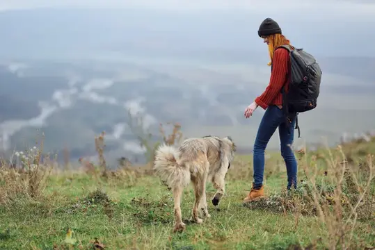 Женщина-туристка с рюкзаком и собакой в горах, путешествие и дружба