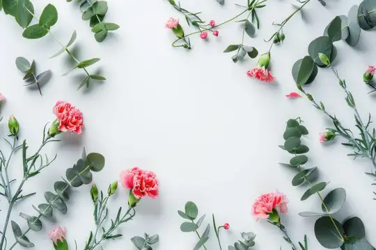 Розовые гвоздики и веточки эвкалипта на белом фоне