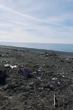 Загрязнённый мусором берег моря под пасмурным небом