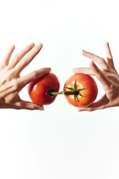 Помидоры, которые держат две руки на белом фоне