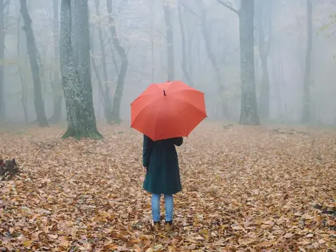 Ребенок с красным зонтом стоит в туманном осеннем лесу