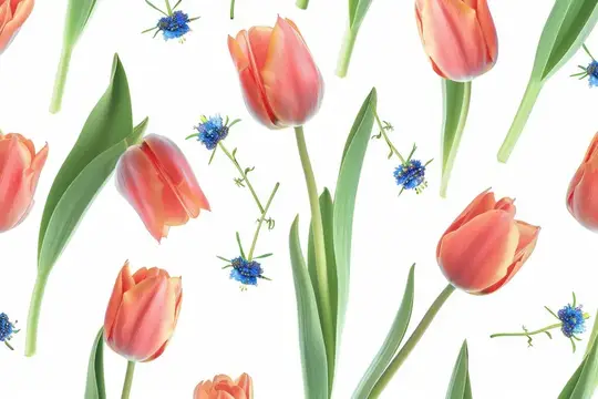 Бесшовный узор из оранжевых тюльпанов и синих цветов на белом фоне для флористического дизайна и обоев