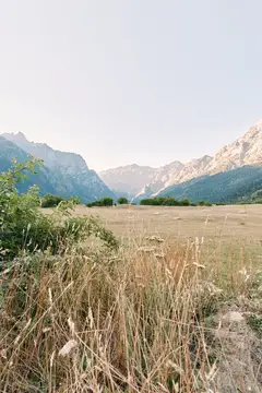 Сухая трава на лугу на фоне горной долины