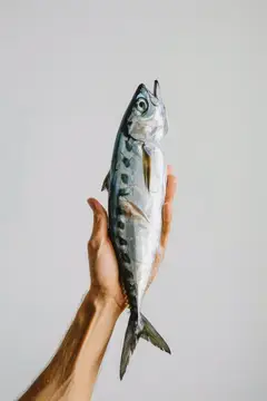 Рука держит свежую скумбрию на светлом фоне