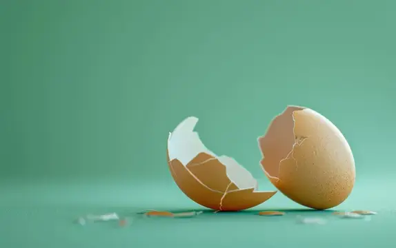Разбитая яичная скорлупа на зелёном фоне