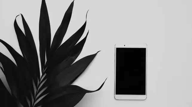 Минималистичная черно-белая композиция со смартфоном и тропическим листом на нейтральном фоне