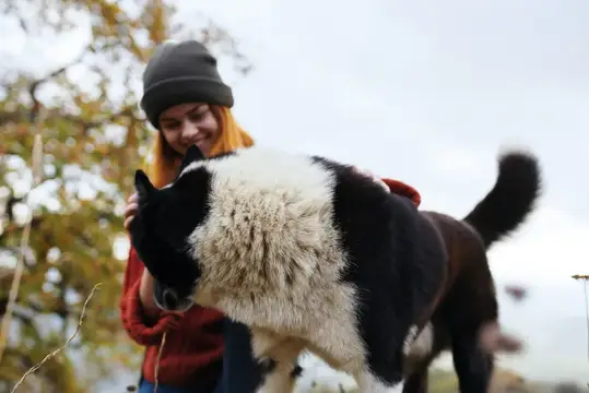Женщина-туристка играет с собакой, обнимая её, на фоне природы, что подчёркивает их дружбу