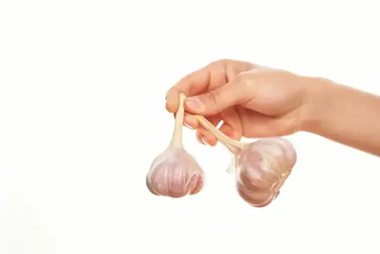 Чеснок в руках, кулинарные ингредиенты на кухне