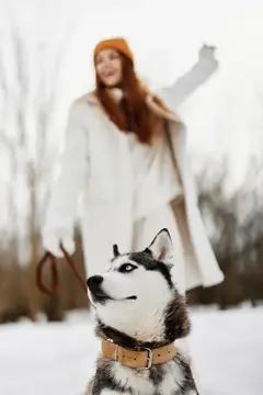 Женщина с собакой гуляет, играет и отдыхает на снегу во время зимних каникул
