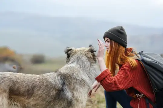 Женщина-туристка стоит рядом с собакой на фоне гор, наслаждаясь природой и свежим воздухом во время путешествия