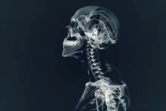 3D-рендер профиля человеческого черепа и шейного отдела позвоночника