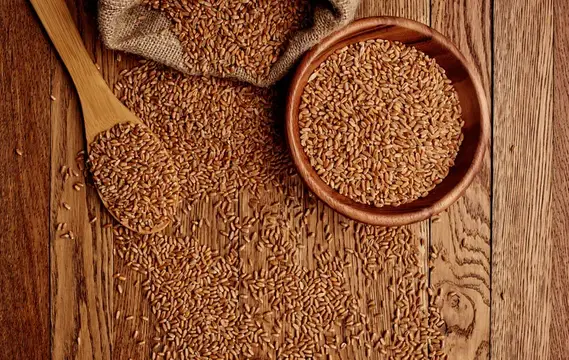 Пшеница на тарелке, фоновая текстура, вид сверху, зерновые продукты
