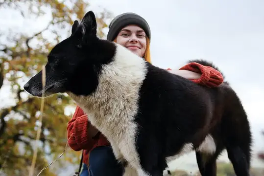 Улыбающаяся девушка в шапке обнимает чёрно-белую собаку на улице