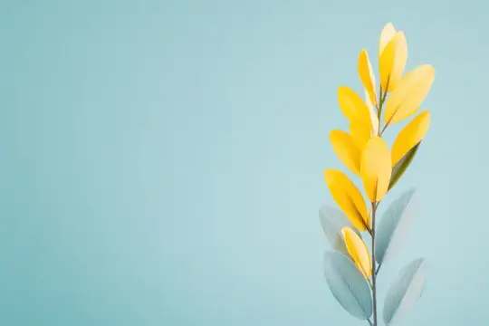 Ветка с жёлтыми листьями на нежно-голубом фоне