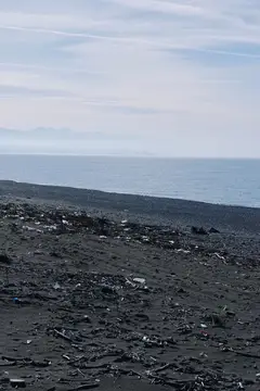 Загрязнённый мусором пустынный берег моря под пасмурным небом