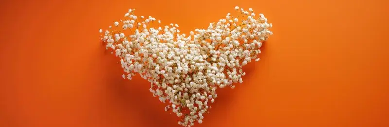 Сердце из белых цветов гипсофилы на оранжевом фоне