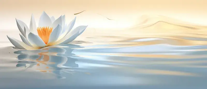 Белый лотос плывёт по спокойной воде на рассвете