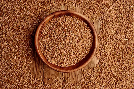 Деревянная миска с пшеничными зёрнами на рассыпанном зерне