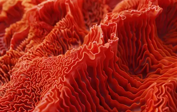 3D-рендер красных складчатых поверхностей, похожих на живую ткань