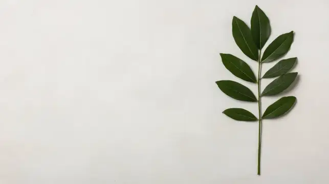 Веточка с зелёными листьями лежит на светлом фоне
